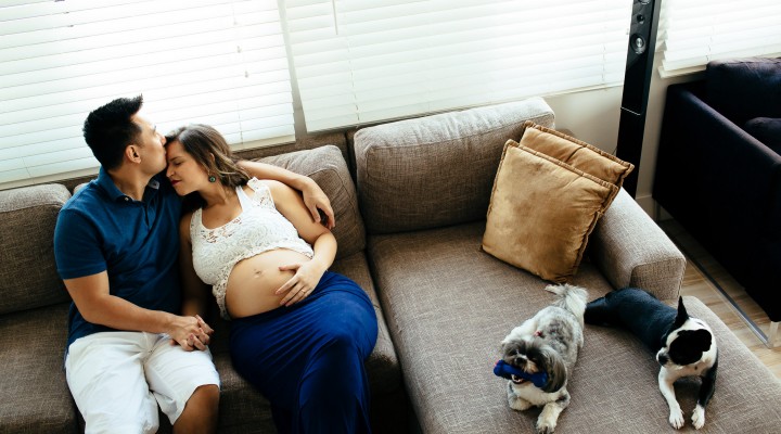 fotografia de gestante com pet dog cachorro