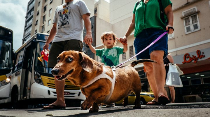 Um Dia na Vida dos Pires Thomé | Rio de Janeiro